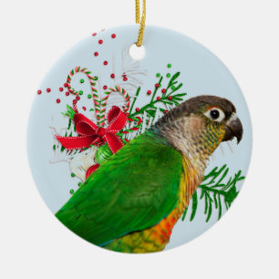 Conure Warmt de Feestdagen Keramisch Ornament