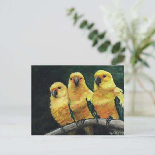 "Conures des trois soleils" Carte postale d'art d' (Debout devant)