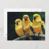 "Conures des trois soleils" Carte postale d'art d' (Devant / Derrière)