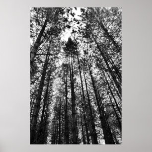 Convergende minds poster