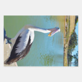 Conversation de dos pélican, feuilles de papier d' (Devant 3)