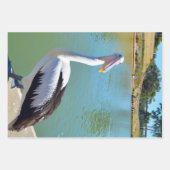 Conversation de dos pélican, feuilles de papier d' (Devant 2)