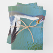 Conversation de dos pélican, feuilles de papier d' (En situation)