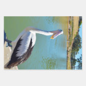 Conversation de dos pélican, feuilles de papier d' (Devant)