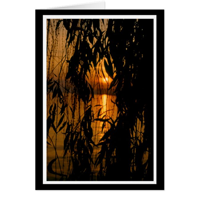 Convulsions 2 (Devant)