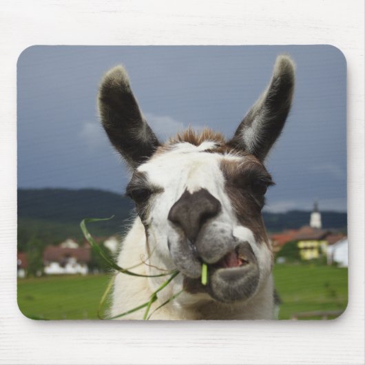 Cooest Llama Muismat (Voorkant)