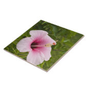 Cook Eilanden, Atiu. Hibiscus bloem. Tegeltje (Zijkant)