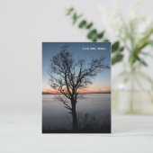 Cook Inlet met Denali en Mt. Foraker - Alaska Briefkaart (Staand voorkant)