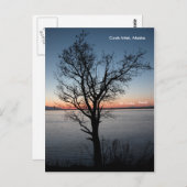 Cook Inlet met Denali en Mt. Foraker - Alaska Briefkaart (Voorkant / Achterkant)