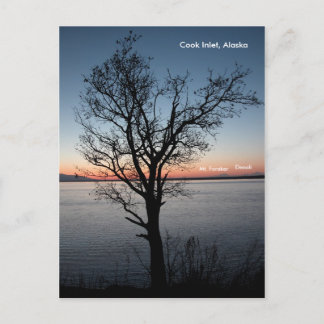 Cook Inlet met Denali en Mt. Foraker - Alaska Briefkaart