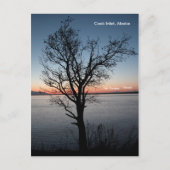 Cook Inlet met Denali en Mt. Foraker - Alaska Briefkaart (Voorkant)