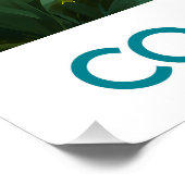 Cook Islands Poster (Coin)