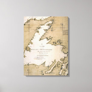 COOK: NEWFOUNDLAND, 1763 CANVAS AFDRUK