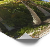 Cookeilanden, Aitutaki. Polynesiaanse kanologierei Poster (Hoek)