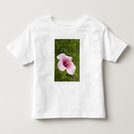 Cookeilanden, Atiu. Hibiscus-bloem. Kinder Shirts (Voorkant)