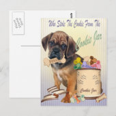 Cookie De Pointe De Cartes De Cookie (Devant / Derrière)