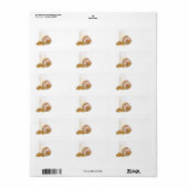 Cookie Hog Etiket (Full Sheet)