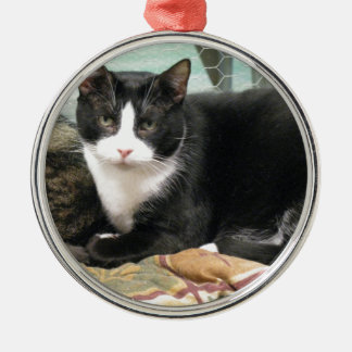 Cookie Metalen Ornament