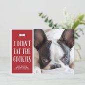Cookies | Carte photo de vacances pour animaux de  (Debout devant)