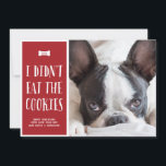 Cookies | Carte photo de vacances pour animaux de<br><div class="desc">Un adorable carte photo de vacances pour votre chien (ou autre animal malicieux) ! Ce drôle de carte photo présente la phrase "Je n'ai pas mangé les biscuits" en lettres blanches contre un arrière - plan rouge festif.</div>