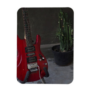 Cool Acoustic Guitar Magneet