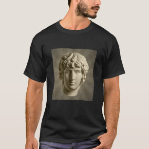 Cool Apollo Gips Standbeeld Illustratie Grafische T-shirt
