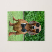 Cool avec Sunglass Dachshund chien 110 puzzle (Horizontal)