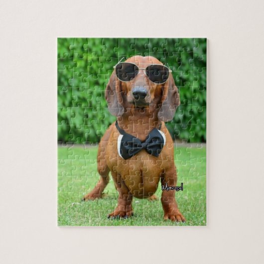 Cool avec Sunglass Dachshund chien 110 puzzle (Vertical)