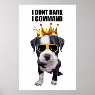 Cool baby dog met grappige zin bovenaan poster
