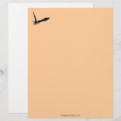 Cool Bald Eagle Wildlife Collectie Briefhoofd Sjabloon (Voorkant / Achterkant)