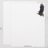 Cool Bald Eagle Wildlife Collectie Briefhoofd Sjabloon (Voorkant / Achterkant)