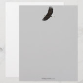 Cool Bald Eagle Wildlife Collectie Briefhoofd Sjabloon (Voorkant / Achterkant)