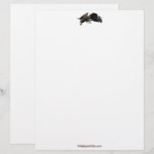 Cool Bald Eagle Wildlife Collectie Briefhoofd Sjabloon (Voorkant / Achterkant)