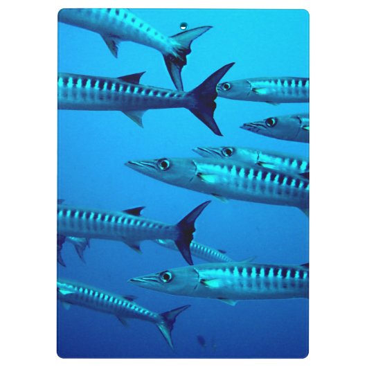 Cool Barracudas Klembord (Achterkant)