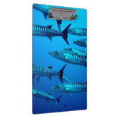 Cool Barracudas Klembord (Rechts)