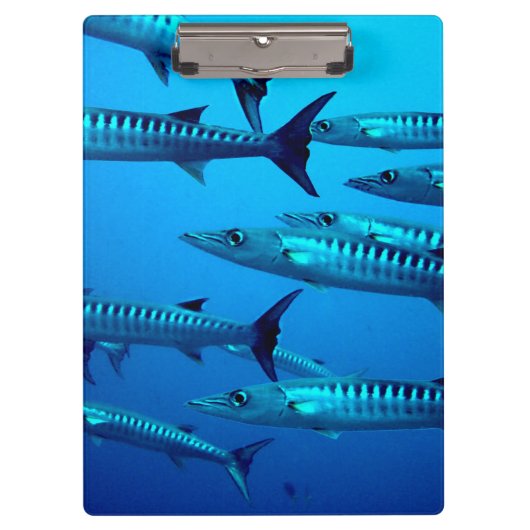 Cool Barracudas Klembord (Voorkant)