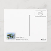 Cool Beverly Hills Briefkaart! Briefkaart (Achterkant)