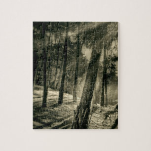 Cool Black en White Forest Sun Rays Natuur Gifts Legpuzzel