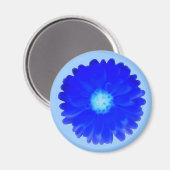 Cool Blue Marigold Magnet (Recto/Verso)
