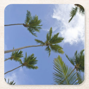 Cool Blue Sky en palmbomen Vierkante Kartonnen Onderzetter