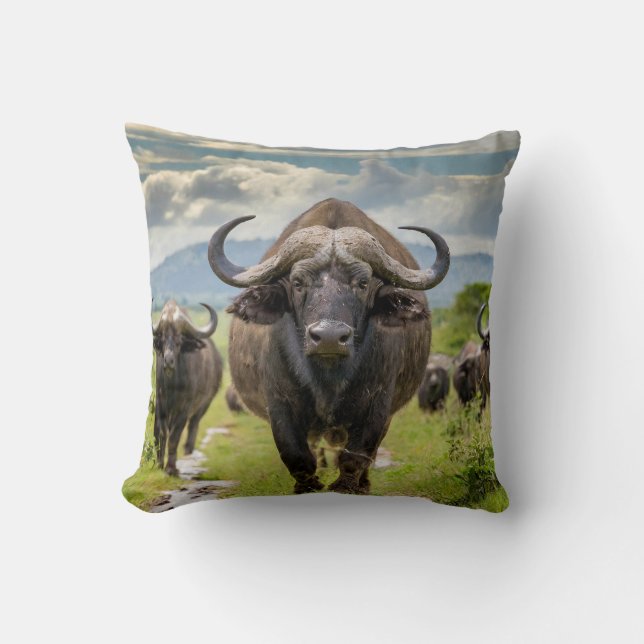 Cool Buffalo Kussen! Kussen (Voorkant)