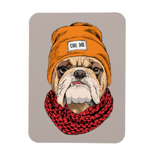 Cool Bulldog Magneet
