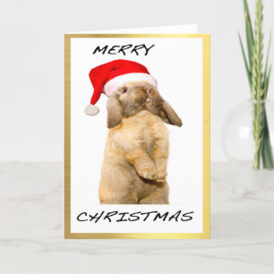"Cool Bunny" design Christmas cards Feestdagen Kaart