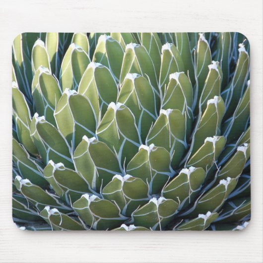 Cool Cactus Mousepad Muismat (Voorkant)