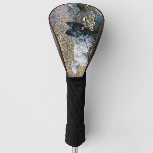 Cool Cairn Golfheadcover (Voorkant)