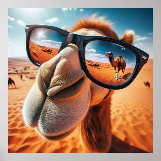 Cool Camel Poster (Voorkant)