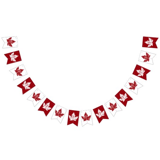 Cool Canada Bunting Banners Canada Day Decoratie (Alle)
