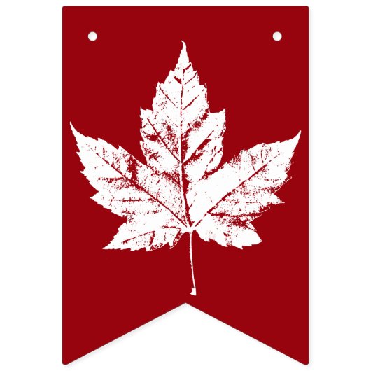 Cool Canada Bunting Banners Canada Day Decoratie (Tweede vlag)