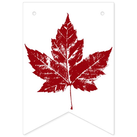 Cool Canada Bunting Banners Canada Day Decoratie (Eerste vlag)
