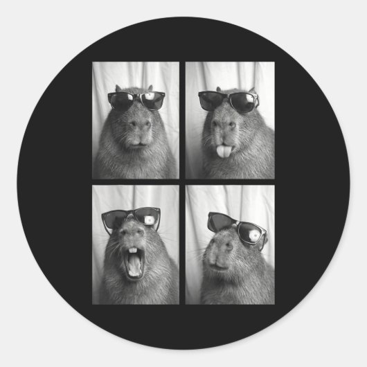 Cool Capybara With Sungles Photobooth Funny Rodent Ronde Sticker (Voorkant)